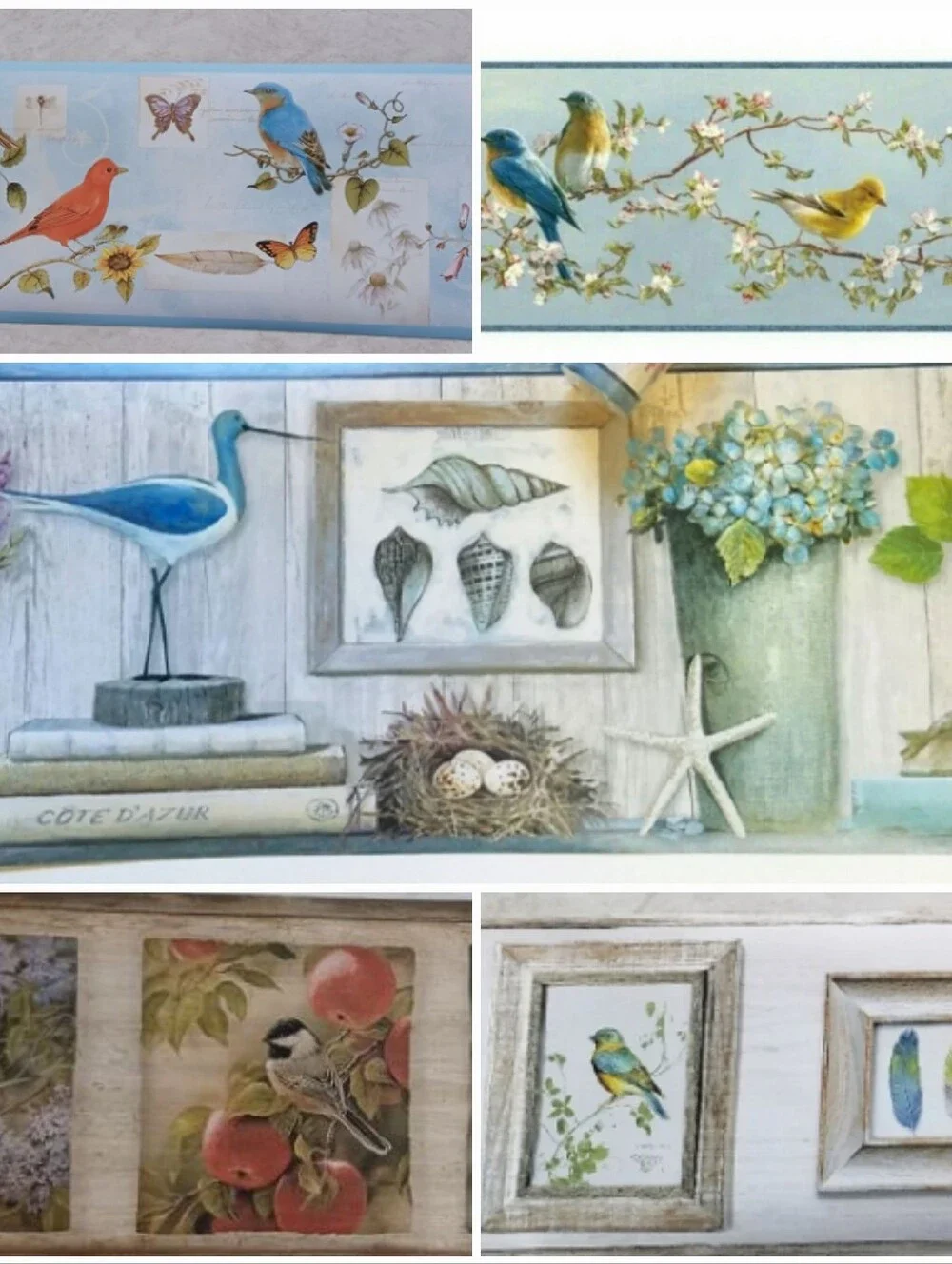 Wallpaper Border Feathers Birds & Ferns